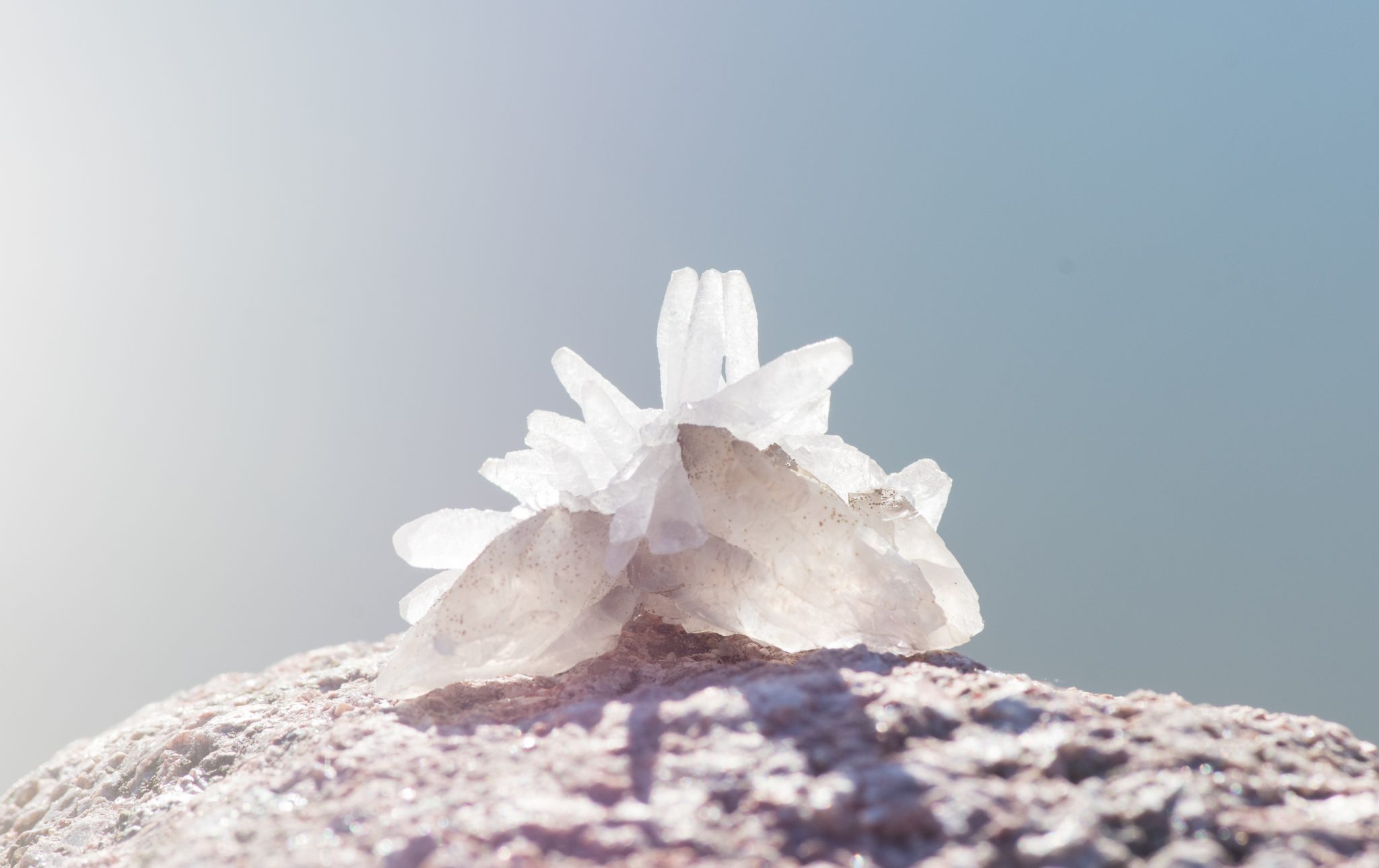 Įvadas, arba istorija apie gyvąjį kristalą